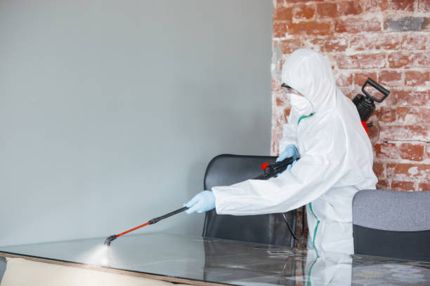 Lisbon, IA Mold Removal Company